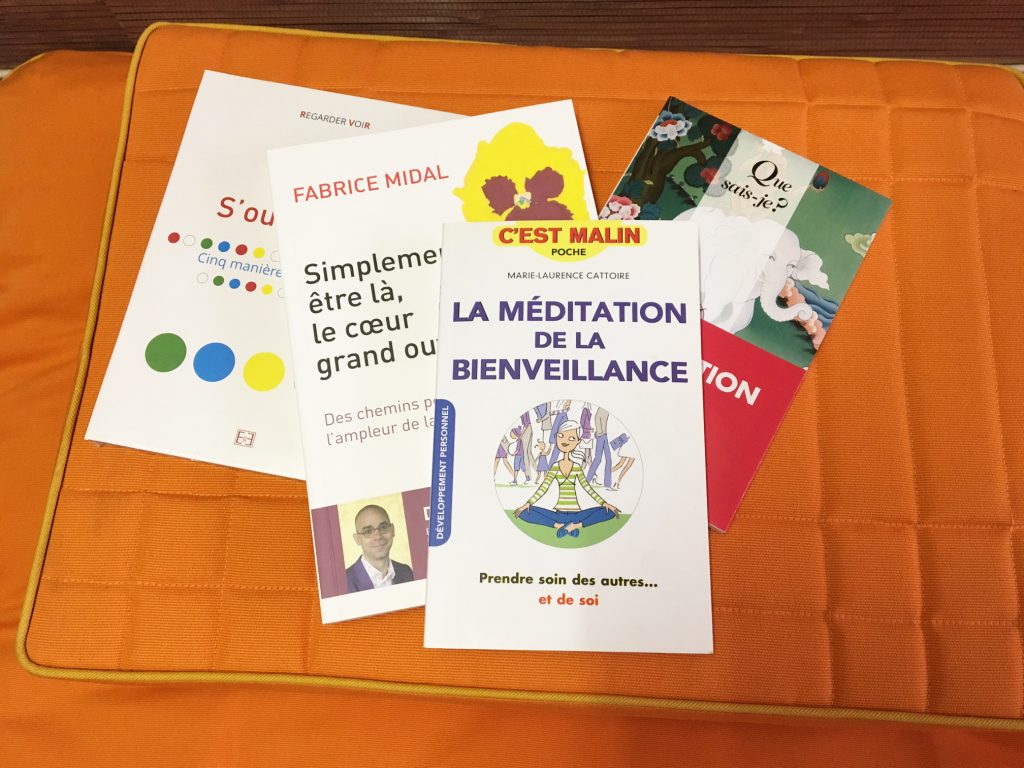 Petite bibliothèque à l’intention des amoureux de la méditation