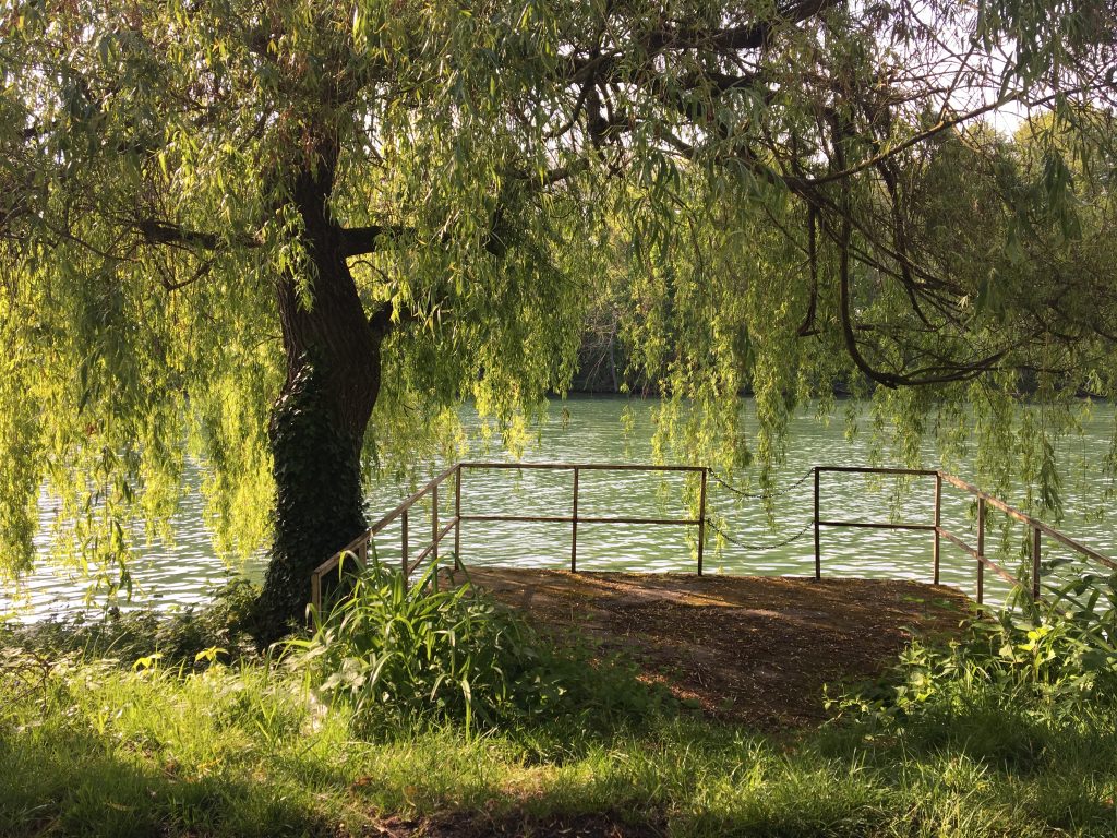 Bord de Seine à Héricy, un soir d'été